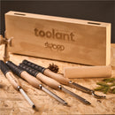 Woodturning Carbide Lathe Tool Set, Professional Hollowing Set