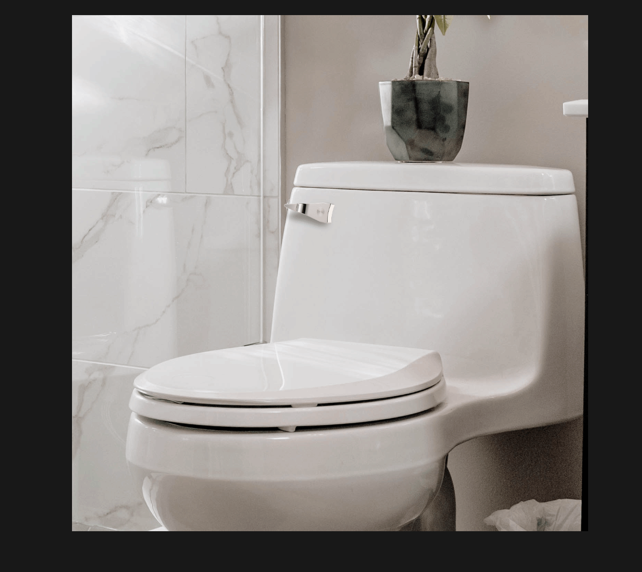 Front Mount Toilet Tank Lever in Chrome